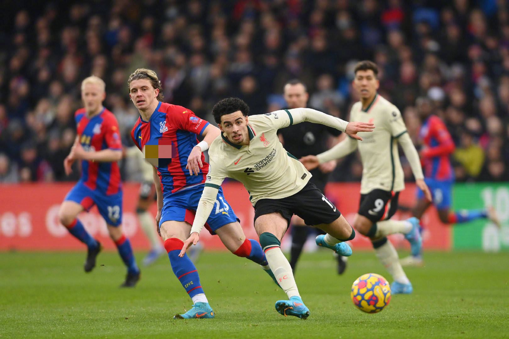 公布了他们 公布了他们